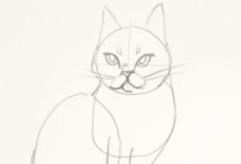 Drawing:Djnm7bfefze= Cat
