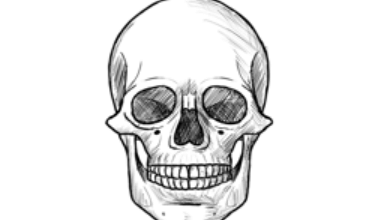 Drawing:Oldj_7nsvxk= Skulls