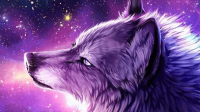 Galaxy:Fg38lov-Ebe= Wolf