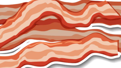 Animated:Xsc4ztjp7sc= Bacon