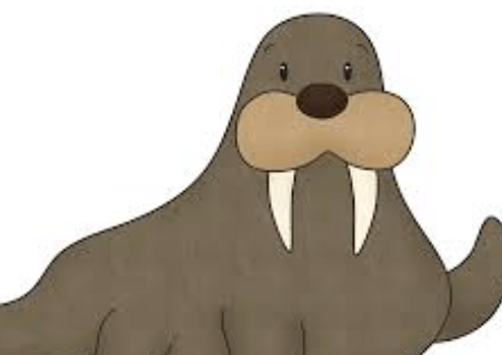 Clipart:Xxcqbtjuuj0= Walrus