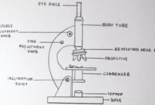 Diagram:Anho9uz3aos= Microscope