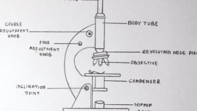 Diagram:Anho9uz3aos= Microscope