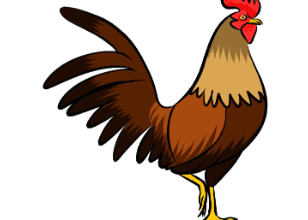 Drawing:Kqu30c7x4xo= Rooster