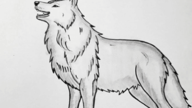 Drawing:Qm60xirsaaa= Wolves