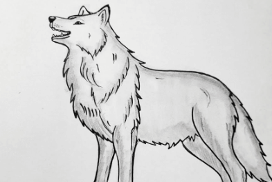 Drawing:Qm60xirsaaa= Wolves