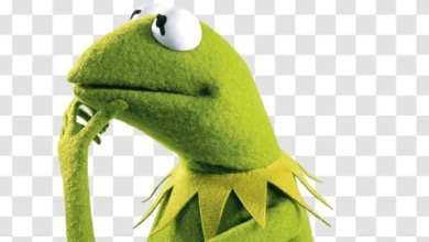 Transparent:61ftk000r0w= Kermit