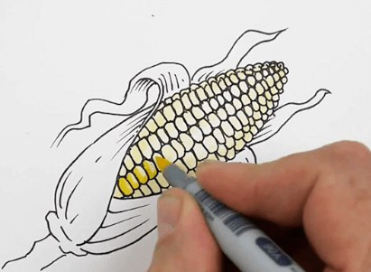 Drawing:Oonij0pwk0w= Corn