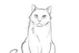 Drawing:Vpier3s64be= Cats