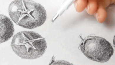 Easy:-Bnhwz2567m= Drawing