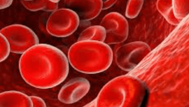 Red:1rjoyd32uuy= Blood