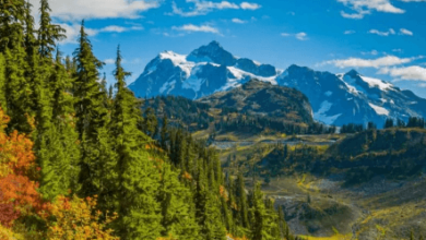 State:1ekusej-Gmi= Washington