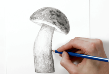 Drawing:Plcxcsjeqpq= Mushroom