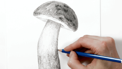 Drawing:Plcxcsjeqpq= Mushroom
