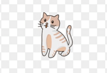 Kawaii:Mdxrjkgre8i= Cat