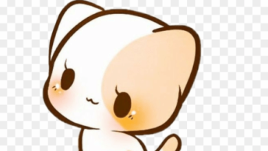 Kawaii:P1ifmjgpipg= Cat