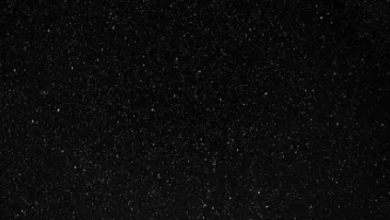 Wallpaper:Dazevovfbdw= Black