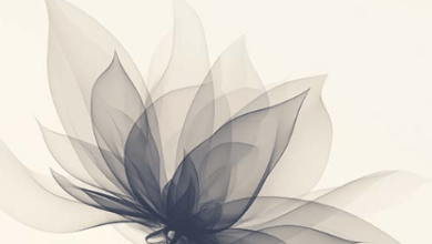 Aesthetic:4cp7q9ppsk4= Backgrounds