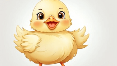 Clipart:4ipe4a1gu68= Chick