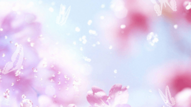 Cute:_757rbppozw= Pretty Background