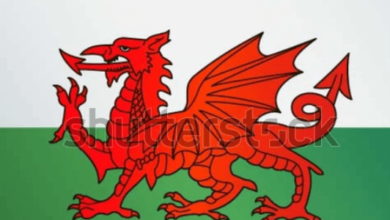 Dragon:Uvaxqlcb0sk= Wales