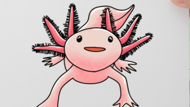 Drawing:3bn4iyqag_E= Axolotl