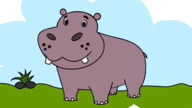 Drawing:Xs2us9na_9w= Hippo