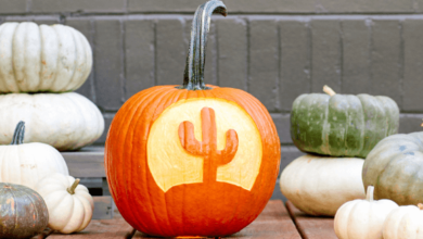 Easy:Zqo2krvwlgi= Pumpkin