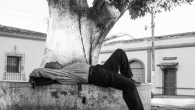 Photography:Dqimdqj4frq= Juxtaposition