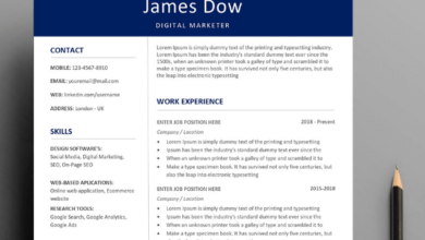 Professional:Dha-38wh4nw= Resume Layout