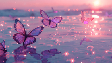 Wallpaper:Acpdg-1s3ts= Butterfly Background