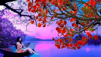 Beautiful:7qnbxt7ukla= Wallpaper