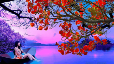 Beautiful:Pvozqnlupm8= Walpaper