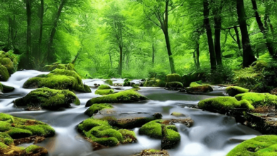 Beautiful:X7hbrubl-F0= 3d Image