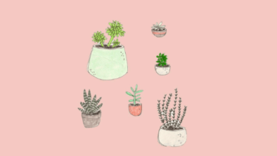 Aesthetic Images for Wallpaper Background