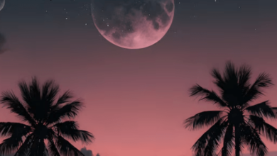 Aesthetic Wallpaper