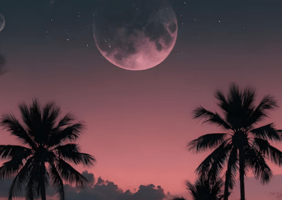 Aesthetic Wallpaper