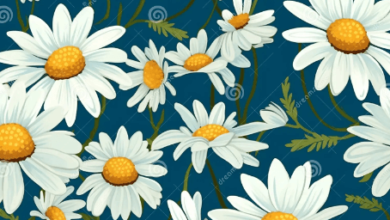 Aesthetic Wallpapers for Mobile