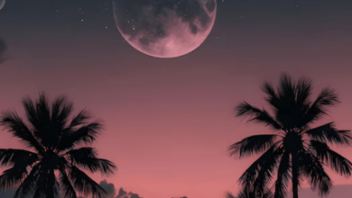 Aesthetic:9i96vyvmfqi= Wallpaper