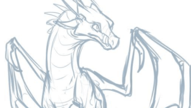 Dragon:Fxvebucj1uo= Drawings