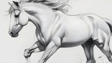 Drawing:0tgb0unl6qy= Horse