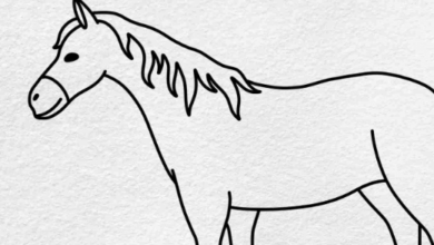 Drawing:0tgb0unl6qy= Horses