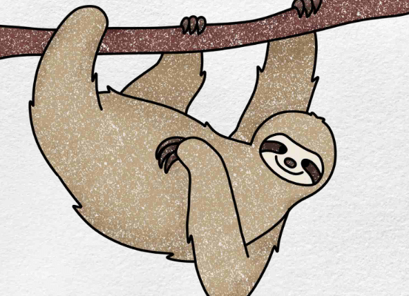 Drawing:9tpejibhbbo= Sloths