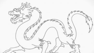 Drawing:Fxvebucj1uo= Dragon