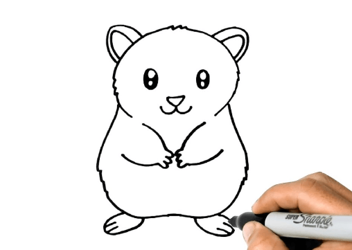 Drawing:K7otkxxtlgi= Hampster