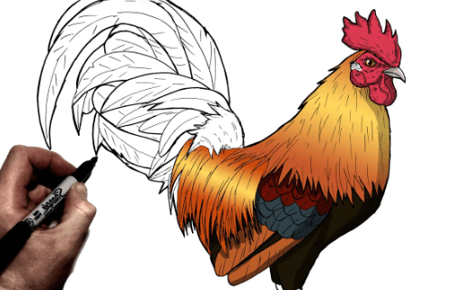 Drawing:Kqu30c7x4xo= Roosters