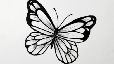 Easy: Hdbowrawkma = Butterfly