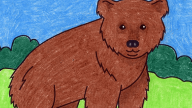 Drawing:Qwdfipynkcc= Baer