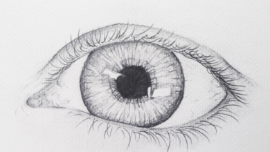 Easy:7nbbaotekl8= Beginner:7nbbaotekl8= Drawings