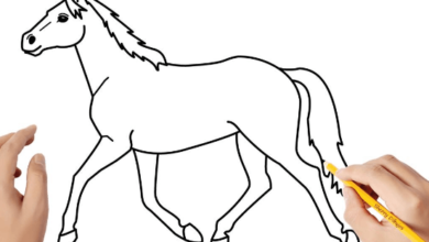 Dibujos:0tgb0unl6qy= Caballos